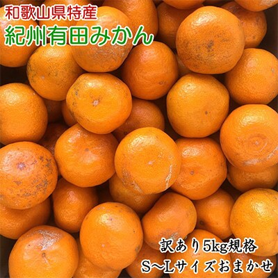 [訳あり]紀州有田みかん約5kg(S～Lサイズ)　【和歌山市】「2025年11月中旬より順次発送」