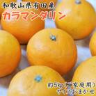 【ご家庭用】和歌山県有田産カラマンダリン約5kg(サイズおまかせ)(和歌山市)
