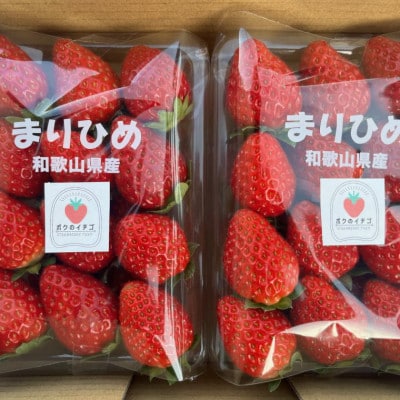 【3月より順次発送】和歌山県産ブランドいちご「まりひめ」約300g×2パック入り(和歌山市)