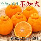 和歌山県産不知火約5kg(12玉～20玉おまかせ)(和歌山市)