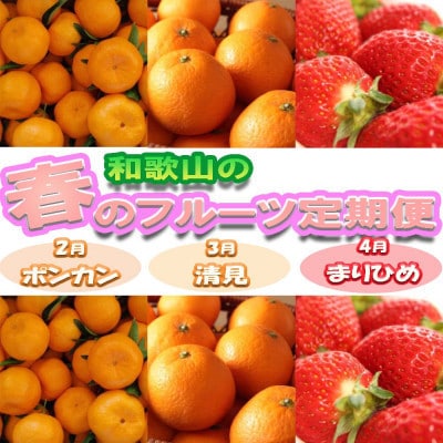 【発送月固定定期便】和歌山の春のフルーツ(ポンカン・清見オレンジ・まりひめ)定期便全3回