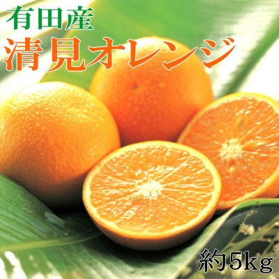 【発送月固定定期便】和歌山の春のフルーツ(ポンカン・清見オレンジ・まりひめ)定期便全3回