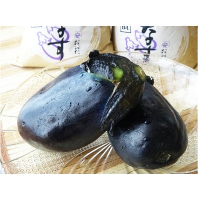 おおた商店の水なすぬか漬け 8個入