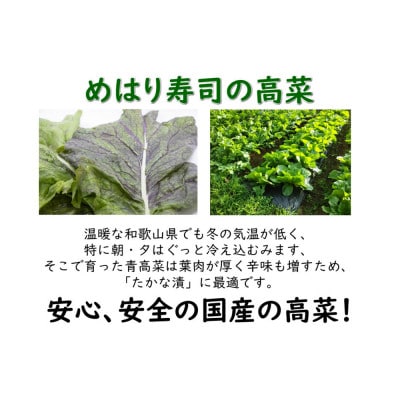 太田商店のめはり高菜漬け 180g×8袋入