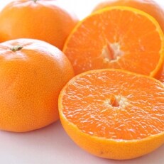 一度は食べていただきたい。「有田産のせとか」約4kg～5kg(サイズおまかせ)