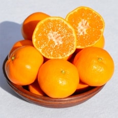 和歌山県産 みかん 秀品 約5kg(箱込み) | ふるさと納税のお礼品