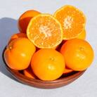 和歌山県産 みかん 秀品 約5kg(箱込み)