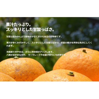 訳あり 甘夏 約5kg(箱込み) ご家庭用 和歌山県産
