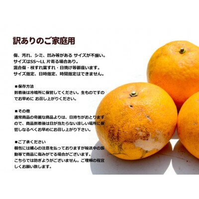 訳あり 甘夏 約5kg(箱込み) ご家庭用 和歌山県産