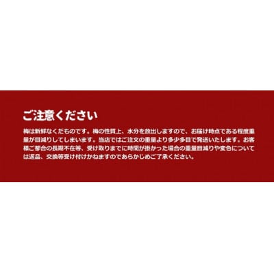 和歌山県産 紀州南高梅 完熟梅 秀品 5kg(3L以上〜Lサイズ混合)