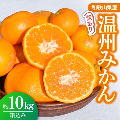 訳ありみかん 約10kg(箱込み)　和歌山県産