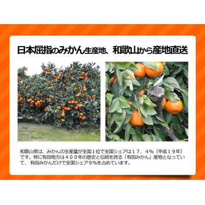 訳ありみかん 約10kg(箱込み)　和歌山県産