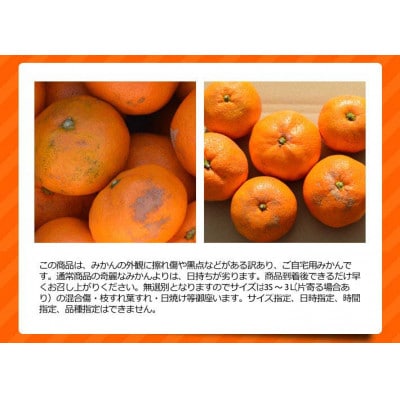訳ありみかん 約10kg(箱込み)　和歌山県産
