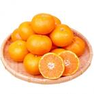 【和歌山市】赤秀品　紀州和歌山ハウスみかん2.5kg