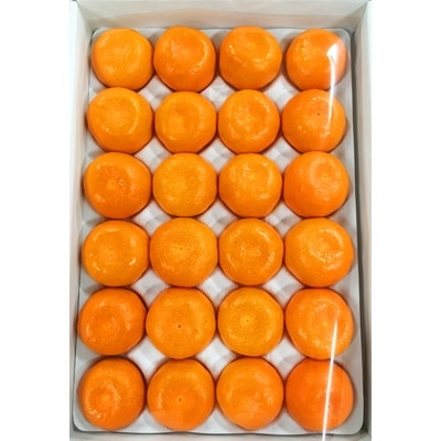 【和歌山市】赤秀品　紀州和歌山ハウスみかん2.5kg