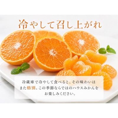 【和歌山市】赤秀品　紀州和歌山ハウスみかん2.5kg