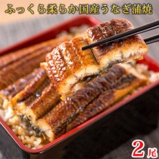 【和歌山市】大型サイズ　ふっくら柔らか国産うなぎ蒲焼き2尾