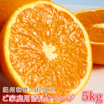【ご家庭用訳アリ】紀州有田産清見オレンジ　5kg