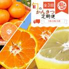 【発送月固定定期便】紀州和歌山産旬のフルーツセット(みかん・不知火・レモン)全3回