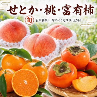 【発送月固定定期便】紀州和歌山産旬のフルーツセット(せとか・桃・富有柿)全3回