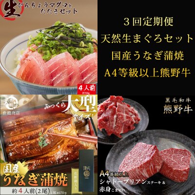 【毎月定期便】紀州和歌山うまいもんセットC(生まぐろ・うなぎ蒲焼・熊野牛)全3回