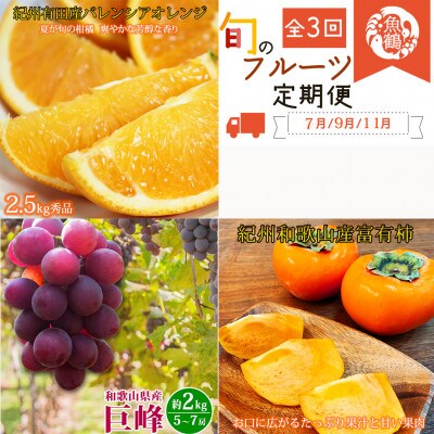 【発送月固定定期便】紀州和歌山産旬のフルーツセット(バレンシア・巨峰・富有柿)全3回