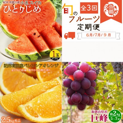 【発送月固定定期便】紀州和歌山産旬のフルーツセット(スイカ・バレンシア・巨峰)全3回