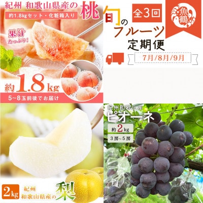 【発送月固定定期便】紀州和歌山産旬のフルーツセット(桃・梨・ピオーネ)全3回