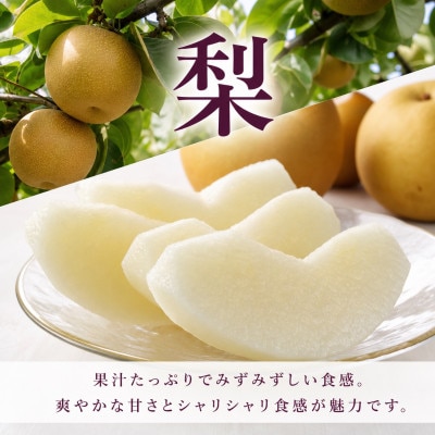 【発送月固定定期便】紀州和歌山産旬のフルーツセット(桃・梨・ピオーネ)全3回