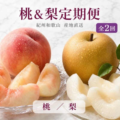 【発送月固定定期便】紀州和歌山産旬のフルーツセット(8月:桃約1.8kg・9月:梨約2kg)全2回