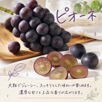 【発送月固定定期便】紀州和歌山産旬のフルーツセット(いちご・桃・ピオーネ)全3回