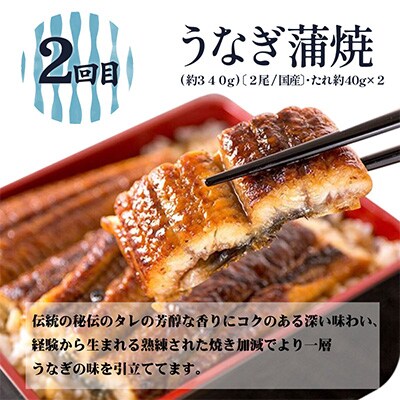 2022年8月発送開始『定期便』魚鶴商店が選ぶ人気のお魚A サバフィレ・うなぎ蒲焼・紅鮭切身全3回