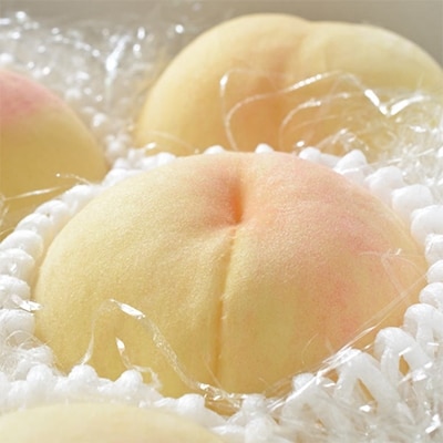 【産直・人気の特産品】和歌山の桃　約2kg・秀品【2025年度発送分】(和歌山市)