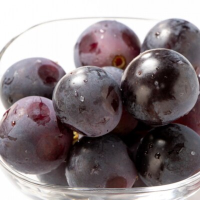 【新鮮・産直】和歌山県産たねなしピオーネ約3kg(4房～7房)(和歌山市)