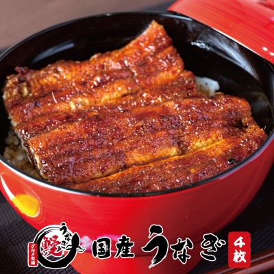 国産うなぎ 関西風蒲焼 大サイズ4枚(合計約600g)薬味付【和歌山グルメ市場】