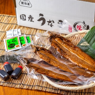 国産うなぎ蒲焼 備長炭炭火紀州職人手焼き 大サイズ3枚(合計約450g)薬味付【和歌山グルメ市場】