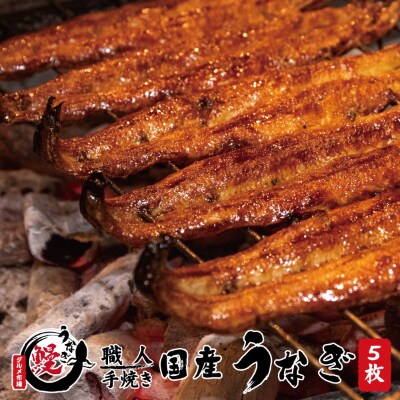 国産うなぎ蒲焼 備長炭炭火紀州職人手焼き 大サイズ5枚(合計約750g)薬味付【和歌山グルメ市場】
