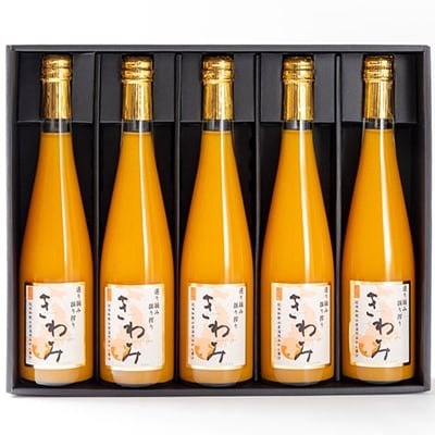 温州みかん使用100%ストレート果汁みかんジュース きわみ500ml×5本セット【和歌山グルメ市場】
