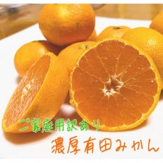 【数量限定】ご家庭用訳あり濃厚有田みかん 約3kg