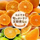 【発送月固定定期便】わかやま 旬のカンキツ定期便【M】全4回