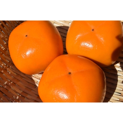 たねなし柿MorLor2L一任-7.5kg