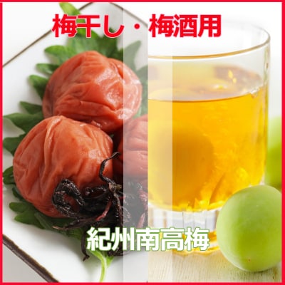 2025/6月より発送【梅干し・梅酒用】紀州和歌山の熟南高生梅3Lor2L-10kg