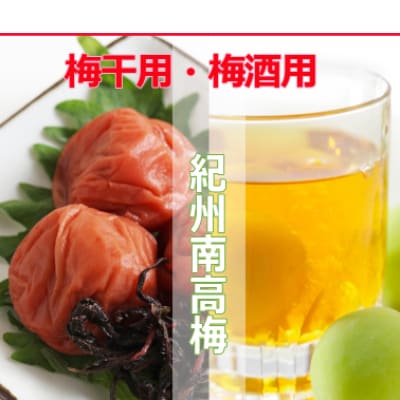 2025/6月より発送【梅干し・梅酒用】紀州和歌山の熟南高生梅2LorL-10kg