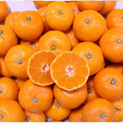 こだわりの和歌山県産 有田みかん 5kg(S~Lサイズ)ひとつひとつ手選別で厳選!生産者から直送