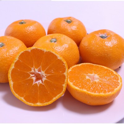 こだわりの和歌山県産 有田みかん 5kg(S~Lサイズ)ひとつひとつ手選別で厳選!生産者から直送