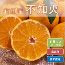 ひだまりみかん家の不知火 約5kg(18～24玉)　ひとつひとつ手選別で厳選!生産者から直送