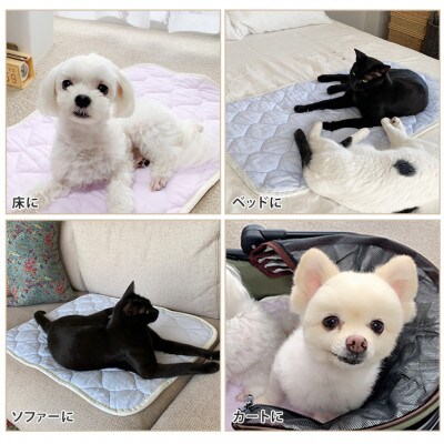 【XS40×30cm】2枚組コットン100%ペット用マット PET-4030-2P