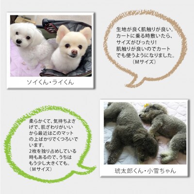 【S 50×40cm】2枚組コットン100%ペット用マット PET-5040-2P
