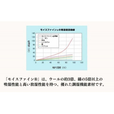 洗える除湿シート セミダブル(110×180cm)布団下の結露やカビの対策 JO-SW