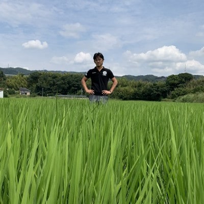 和歌山のお米　食べ比べ15kgセット